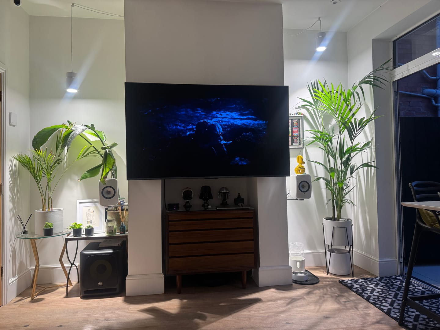 Customer photo review of Claria Grow Light x2 Pack Bundle