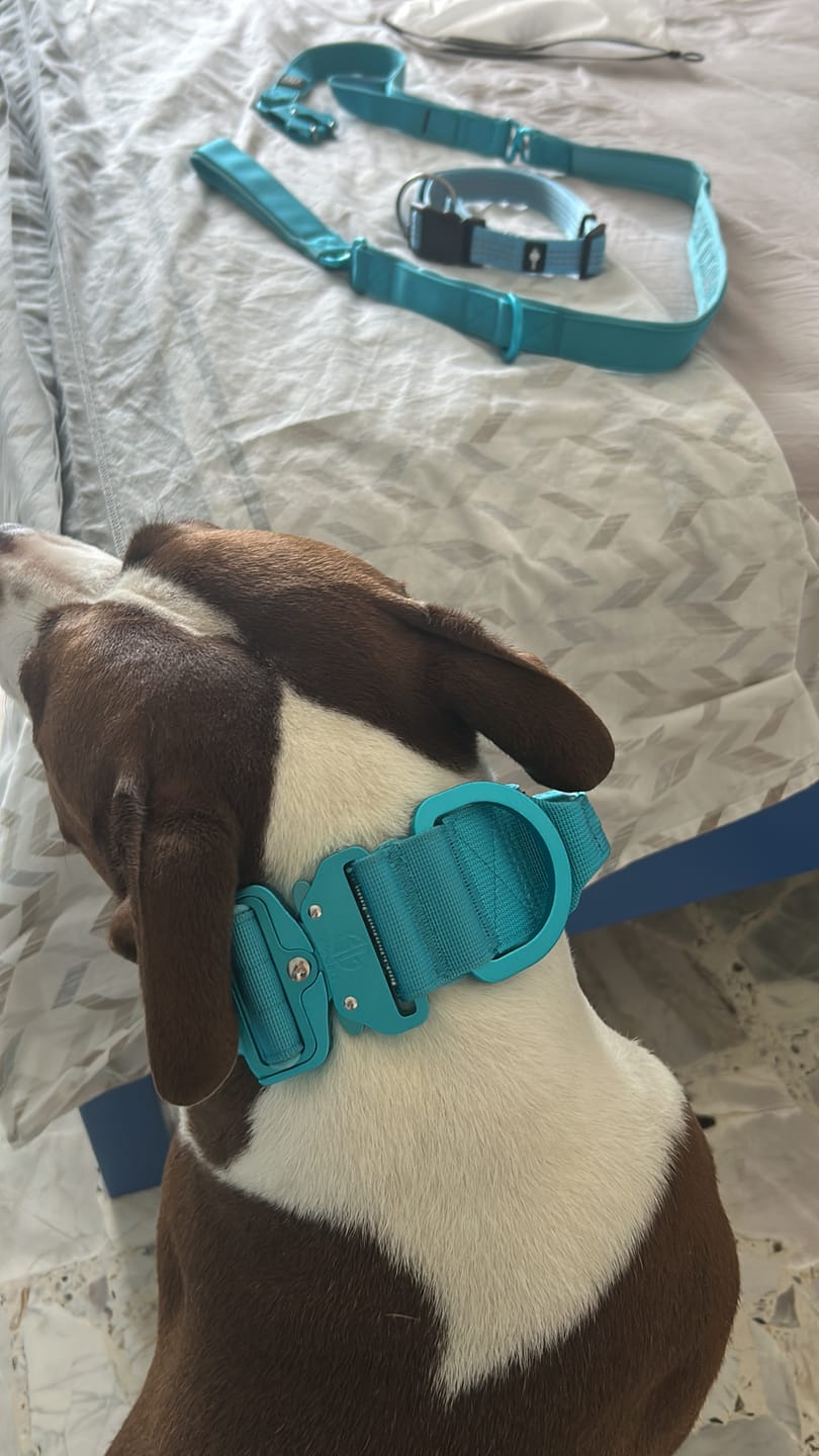 Customer photo review of Collare Crime 5cm