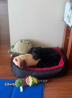 Customer photo review of Herzschlag-Kuscheltier