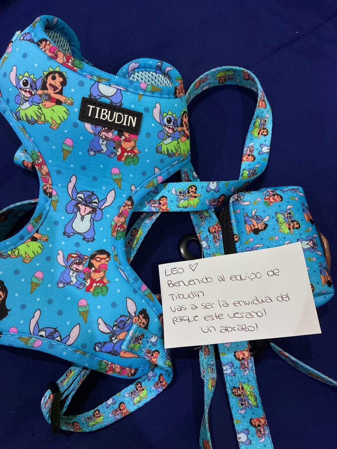 Customer photo review of Pack arnés, correa y portabolsas