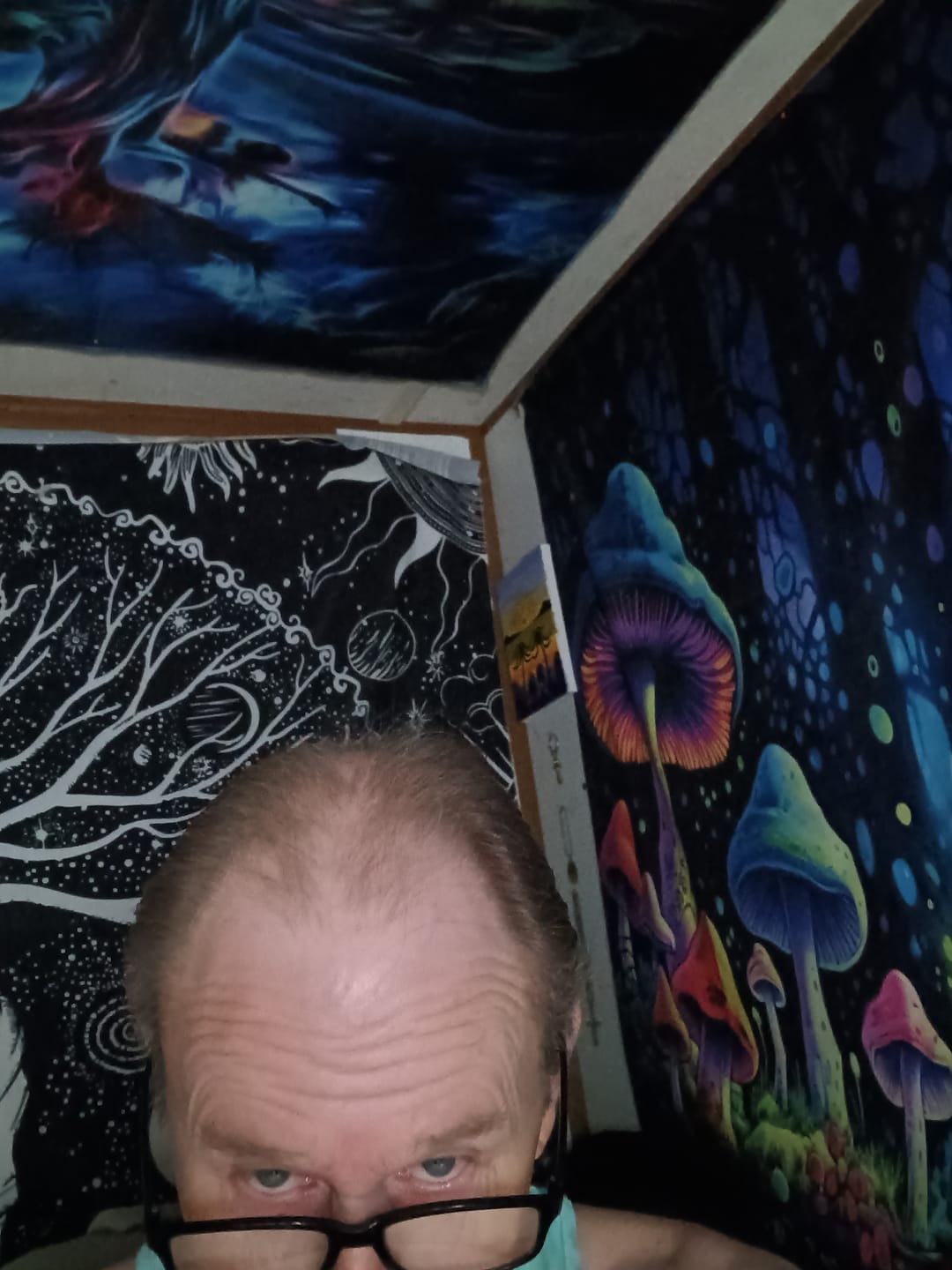 Customer photo review of Spartan™ Root Activator Shampoo 3 Bottles(sc)