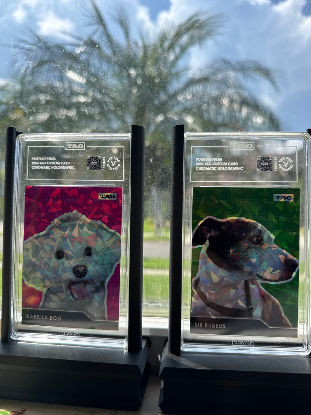 Customer photo review of TAG Custom Card | Pet Portrait Prism
