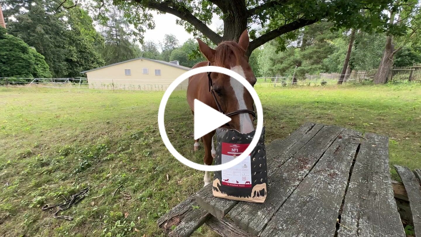 Customer video review of Kristallkraft No1