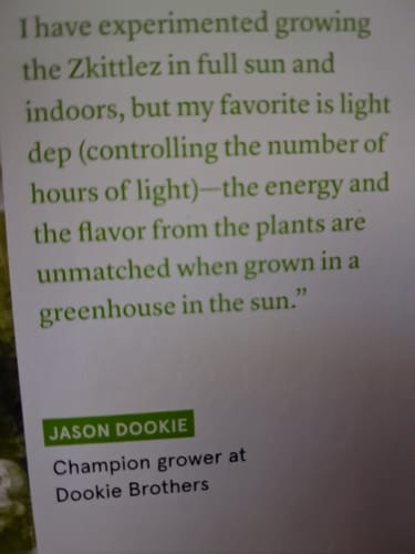 Customer photo review of Royal Gorilla THCA Flower