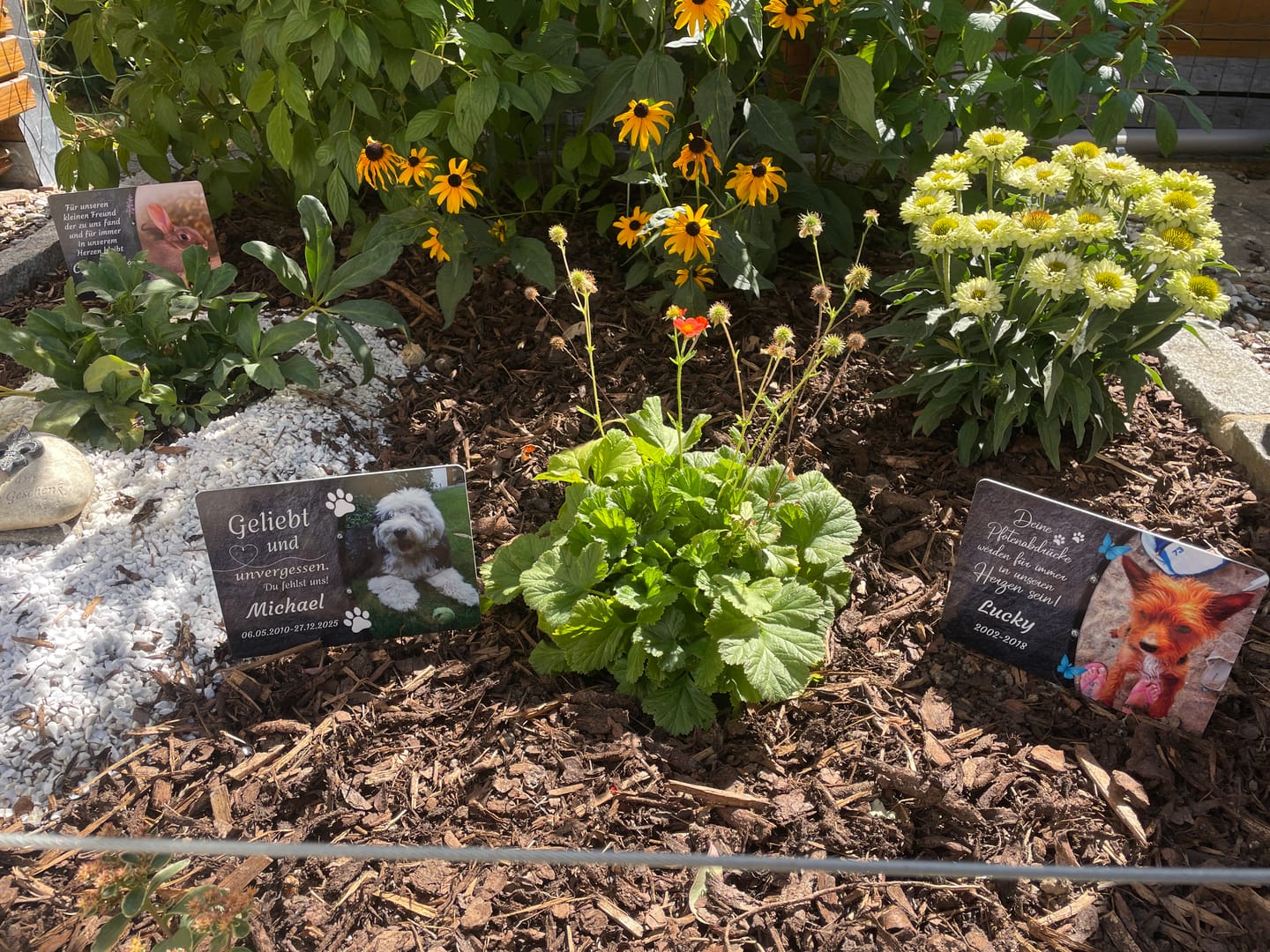 Customer photo review of Hunde Gedenktafel mit Foto & Spruch (UV- &  Wetterfest)