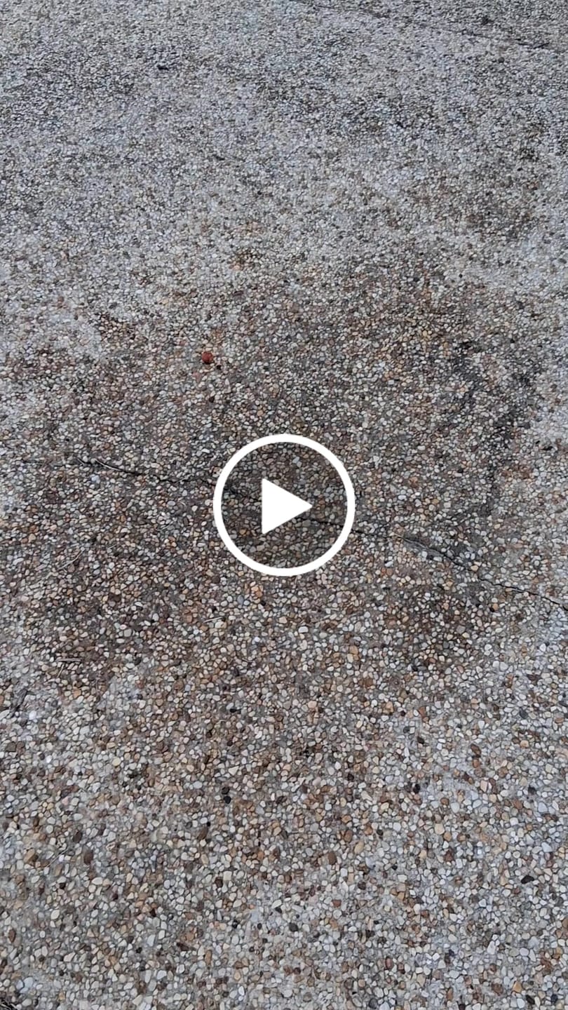 Customer video review of Pull It Out Concrete Oil Stain Remover