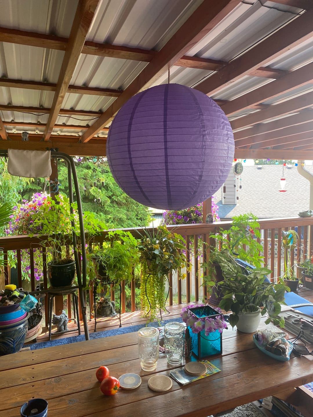 Customer photo review of 24" Royal Purple Round Paper Lantern, Even Ribbing, Chinese Hanging Wedding & Party Decoration