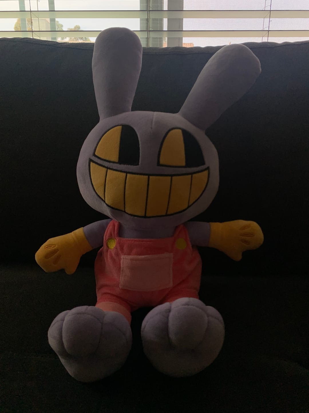 Customer photo review of Jax Plush