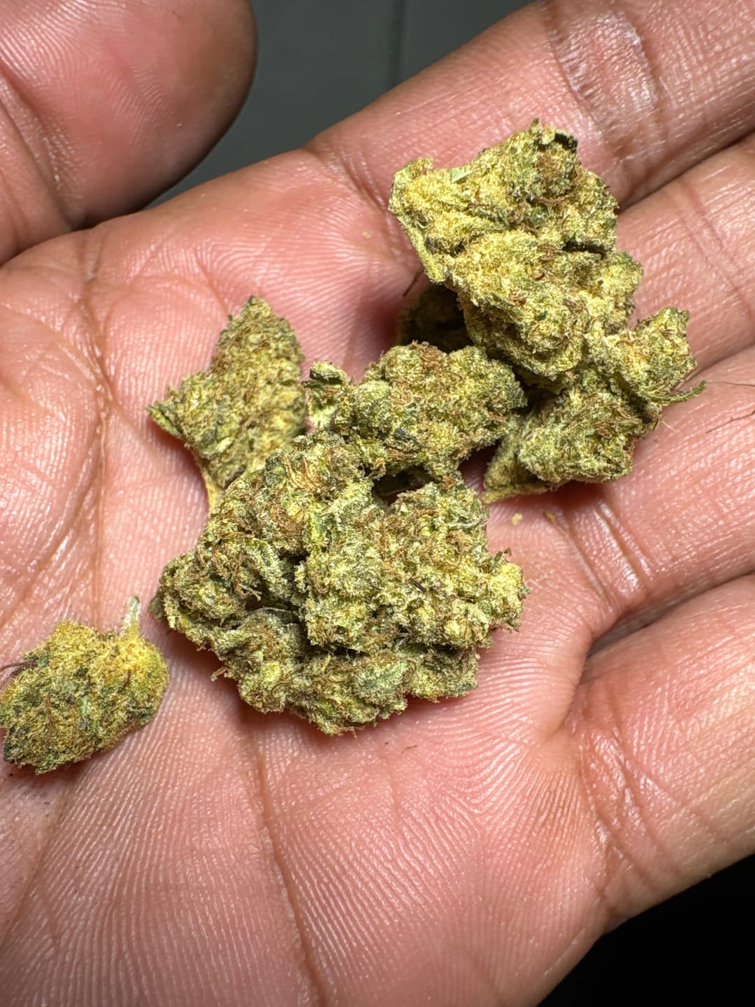 Customer photo review of Gary Payton - Greenhouse