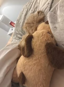 Customer photo review of Herzschlag-Kuscheltier