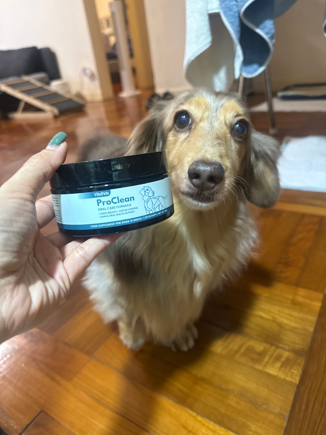 Customer photo review of ProClean™狗狗天然潔牙護齒配方