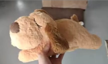 Customer photo review of Herzschlag-Kuscheltier