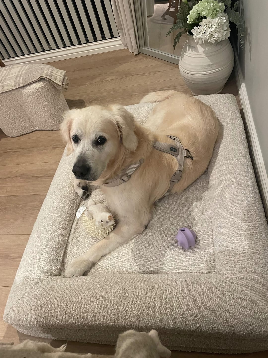 Customer photo review of Bouclé Bed White Large