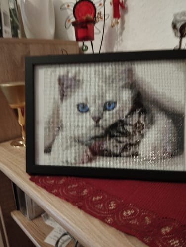 Kundenfoto des Diamond Paintings Süße Miezen, das eine Katze mit blauen Augen in einem schwarzen Bilderrahmen zeigt.
