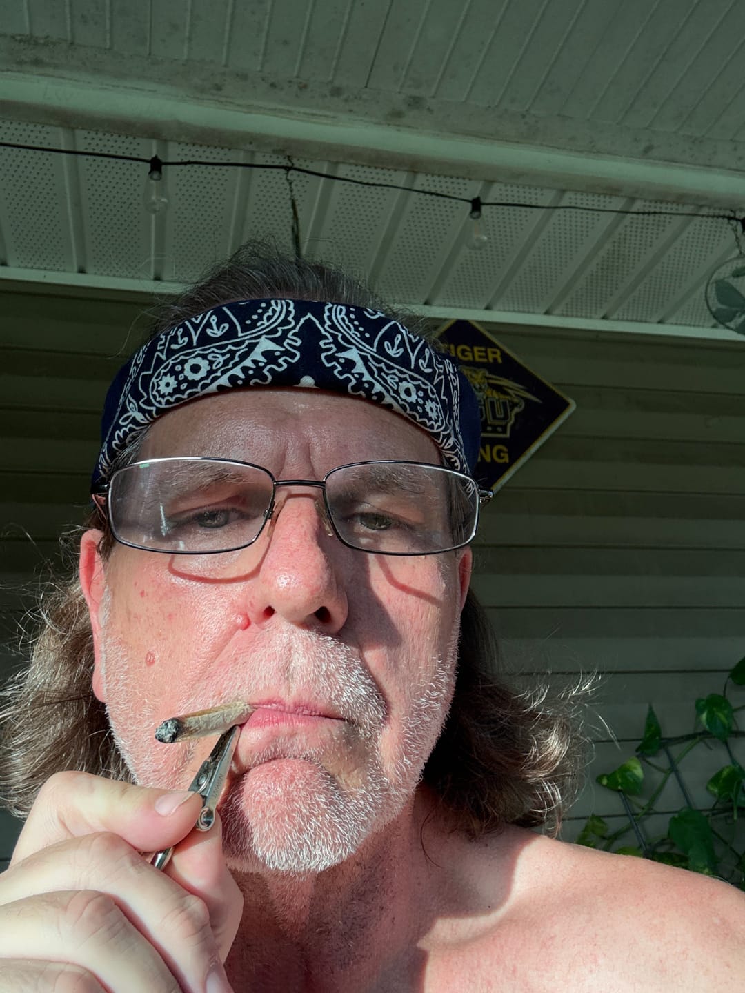 Customer photo review of White Widow MICROS - 28 Grams - Hybrid