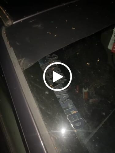 Customer video review of MONEY WELL WASTED DECAL