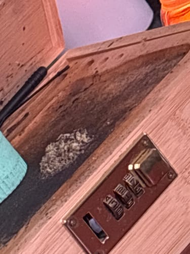 Bubba OG - 28 Grams - Indica photo review