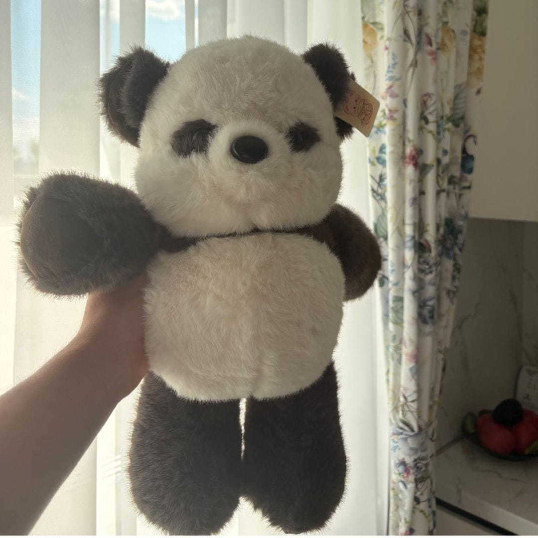 Customer photo review of PandiRun™