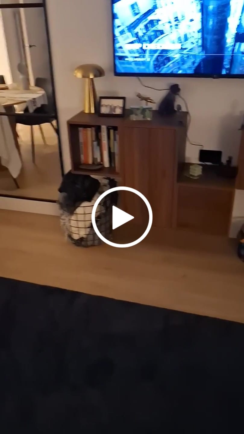 Customer video review of Versichertes Paket