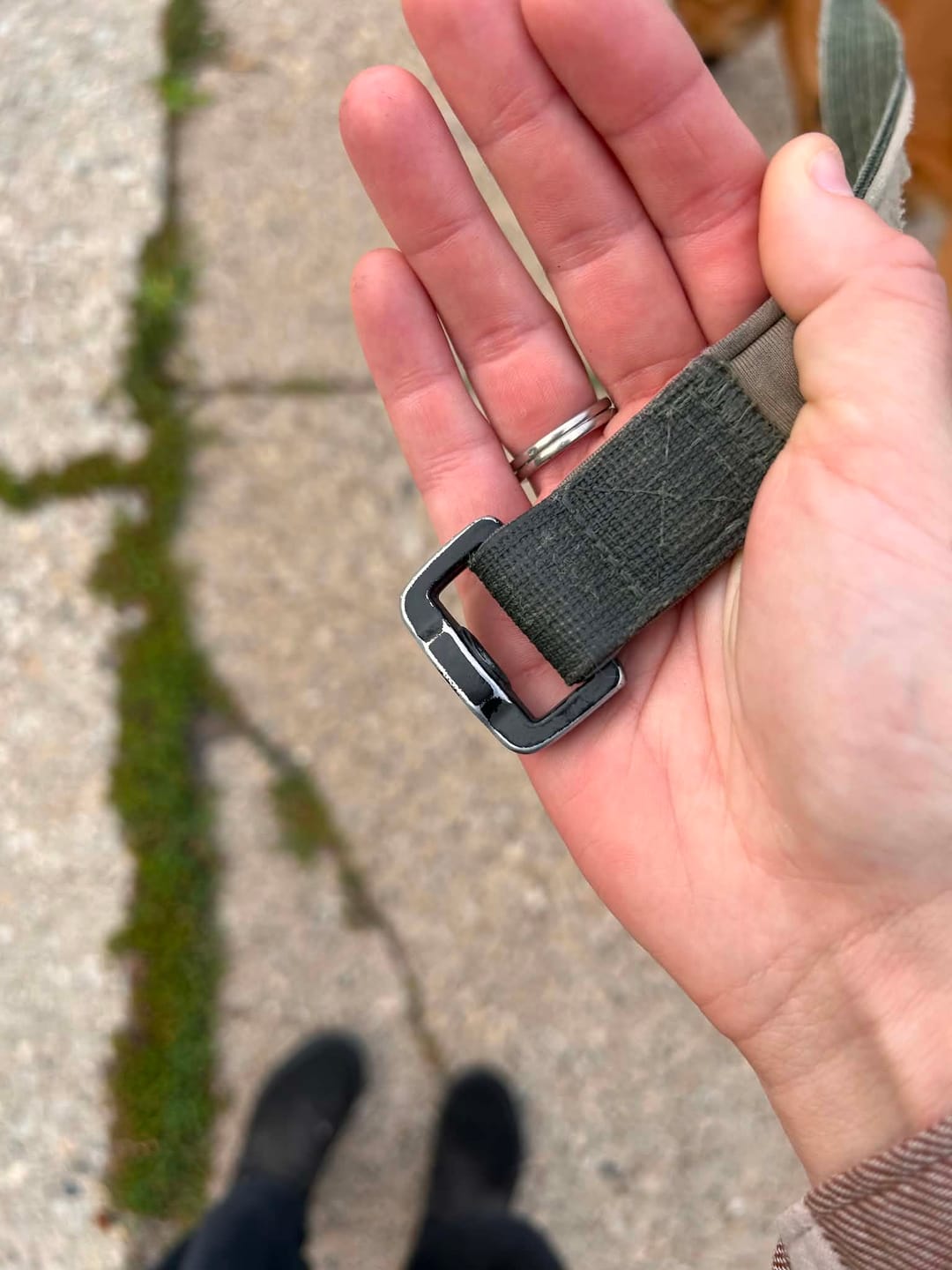 Customer photo review of Leash and Poop Bag Holder Set - Army Green