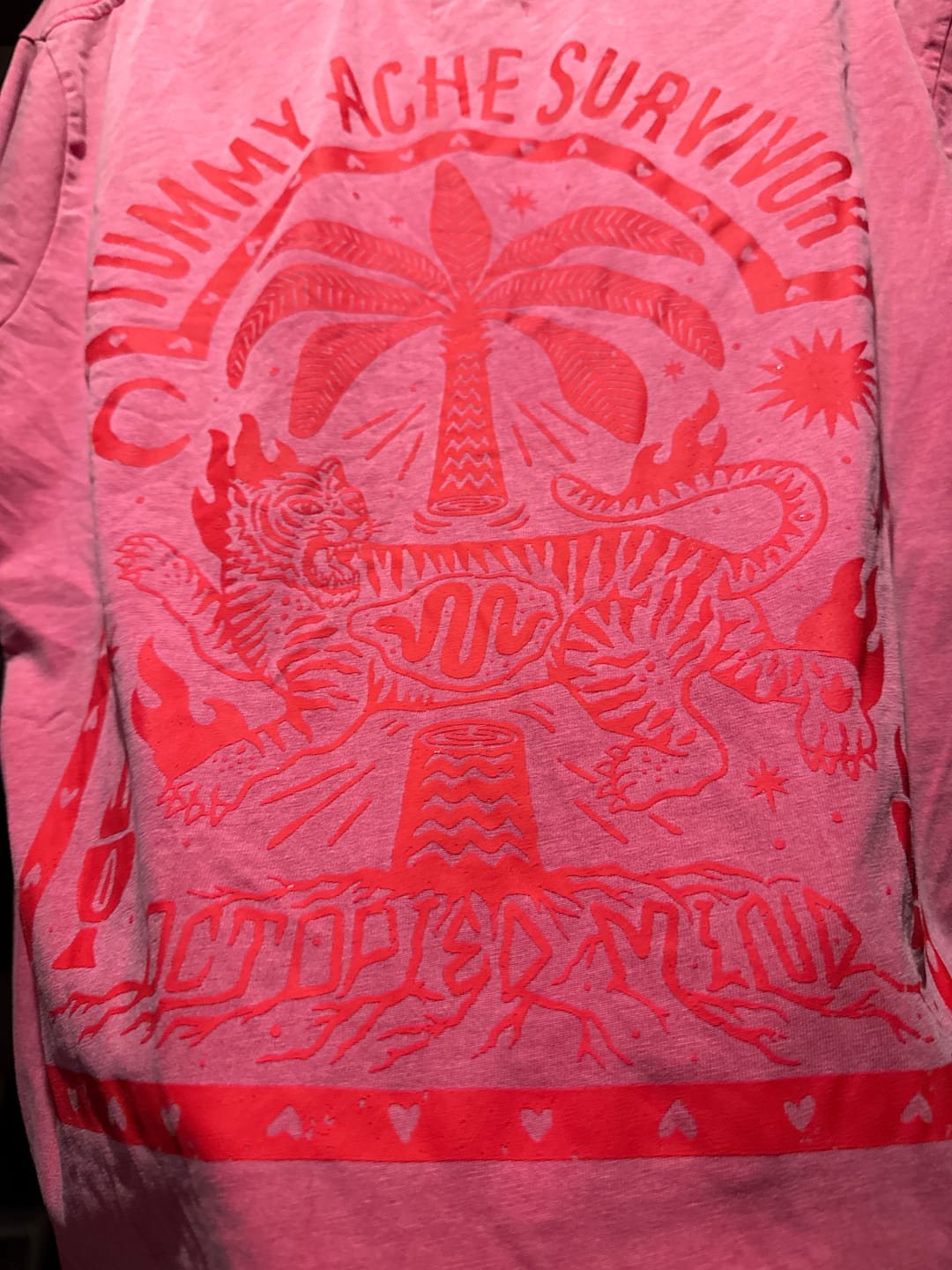 Customer photo review of Tummy Ache Survivor T-Shirt