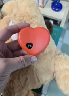 Customer photo review of Herzschlag-Kuscheltier