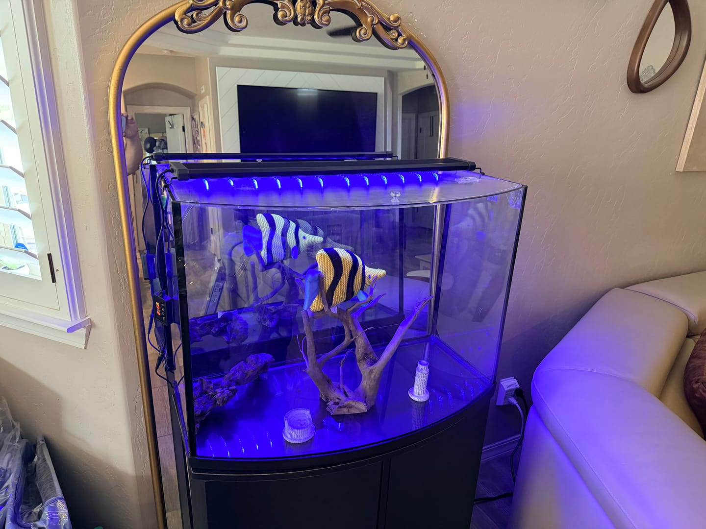 Customer photo review of Aqua Filtra By Sicce