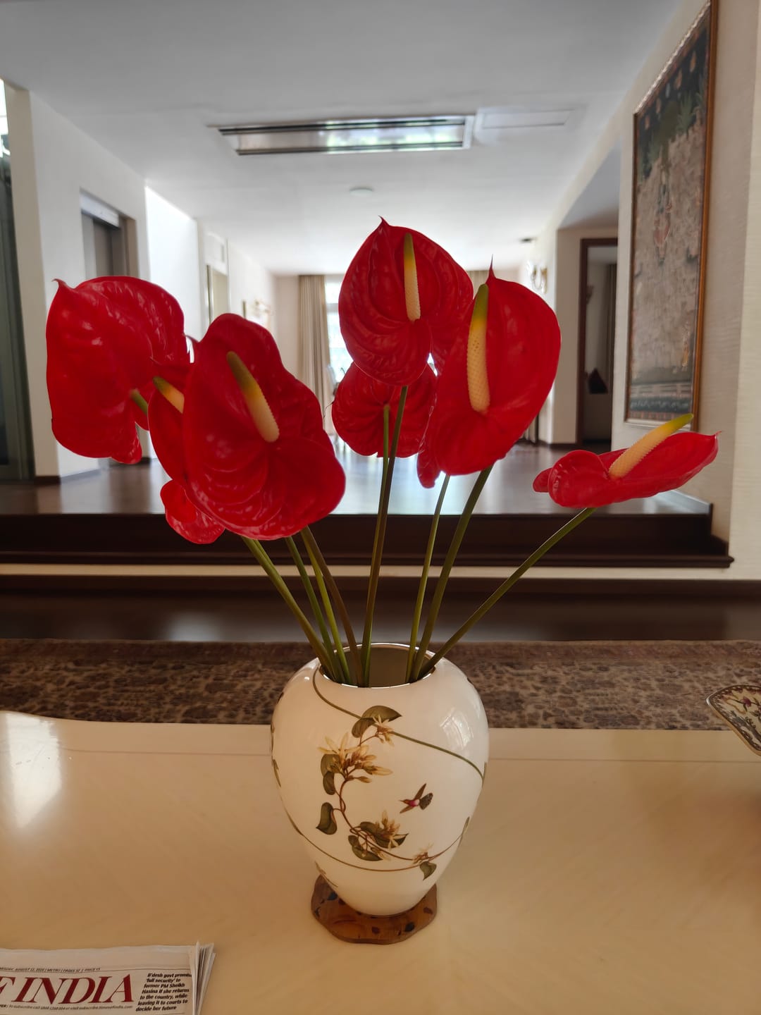 Customer photo review of Anthuriums