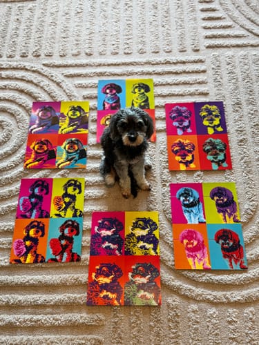 Customer photo review of Personalised Poster With Dog or Cat - Colour Squares