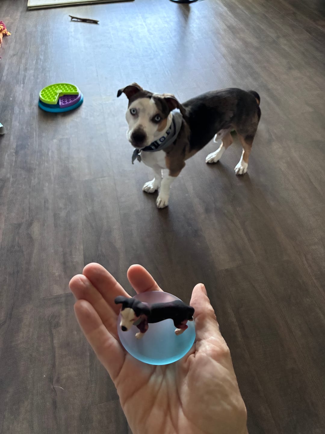 Customer photo review of Personalized Pet 3D Figurine from Photo