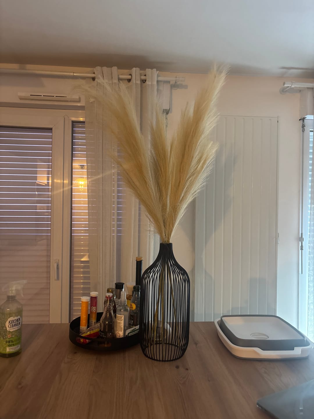 Customer photo review of Pampas 110cm (3 tiges)- Beige