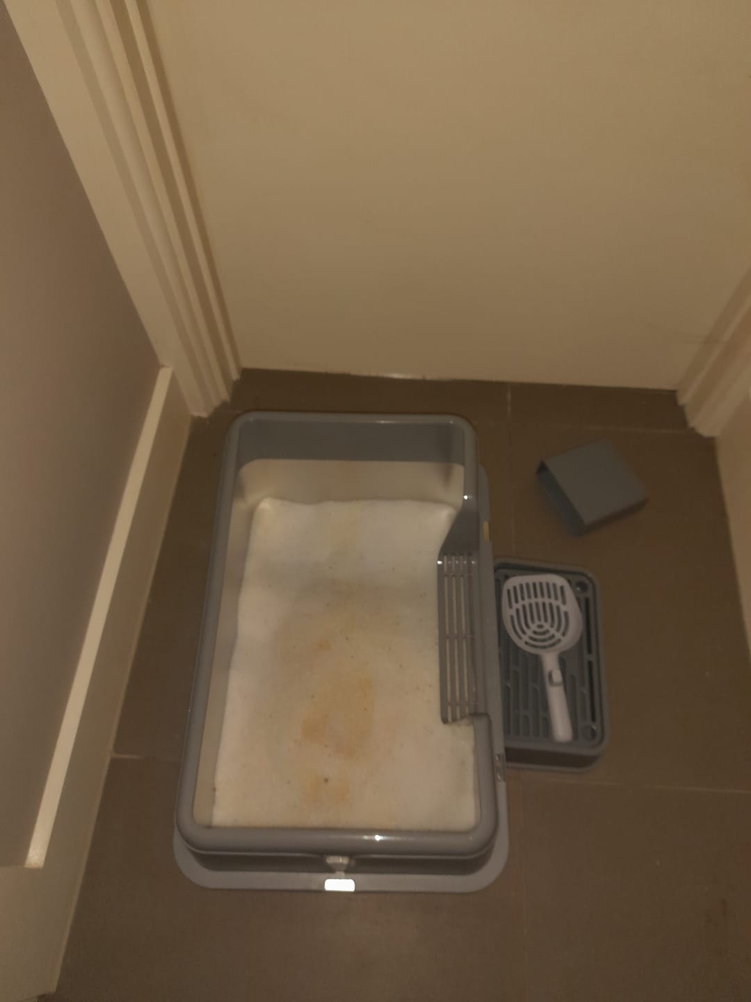 Customer photo review of Stainless Steel Cat Litter Box Large Semi-Enclosed Easy Cleaning Pet Toilet