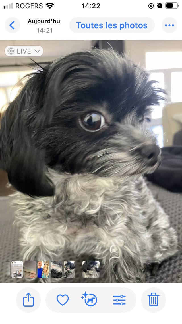 Customer photo review of Vrac Nature's Own - Bâtonnets oesophage de boeuf pour chien