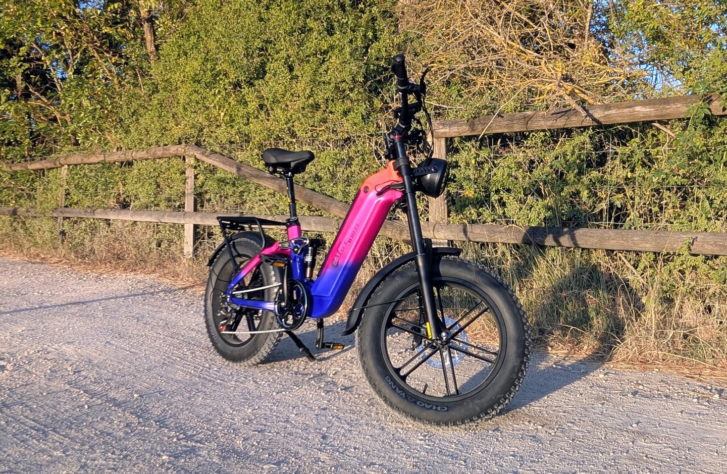 Customer photo review of CMACEWHEEL V20 750W 20" Fat Bike 960Wh Full Suspension E-bike with Torque Sensor 48V 20Ah Battery