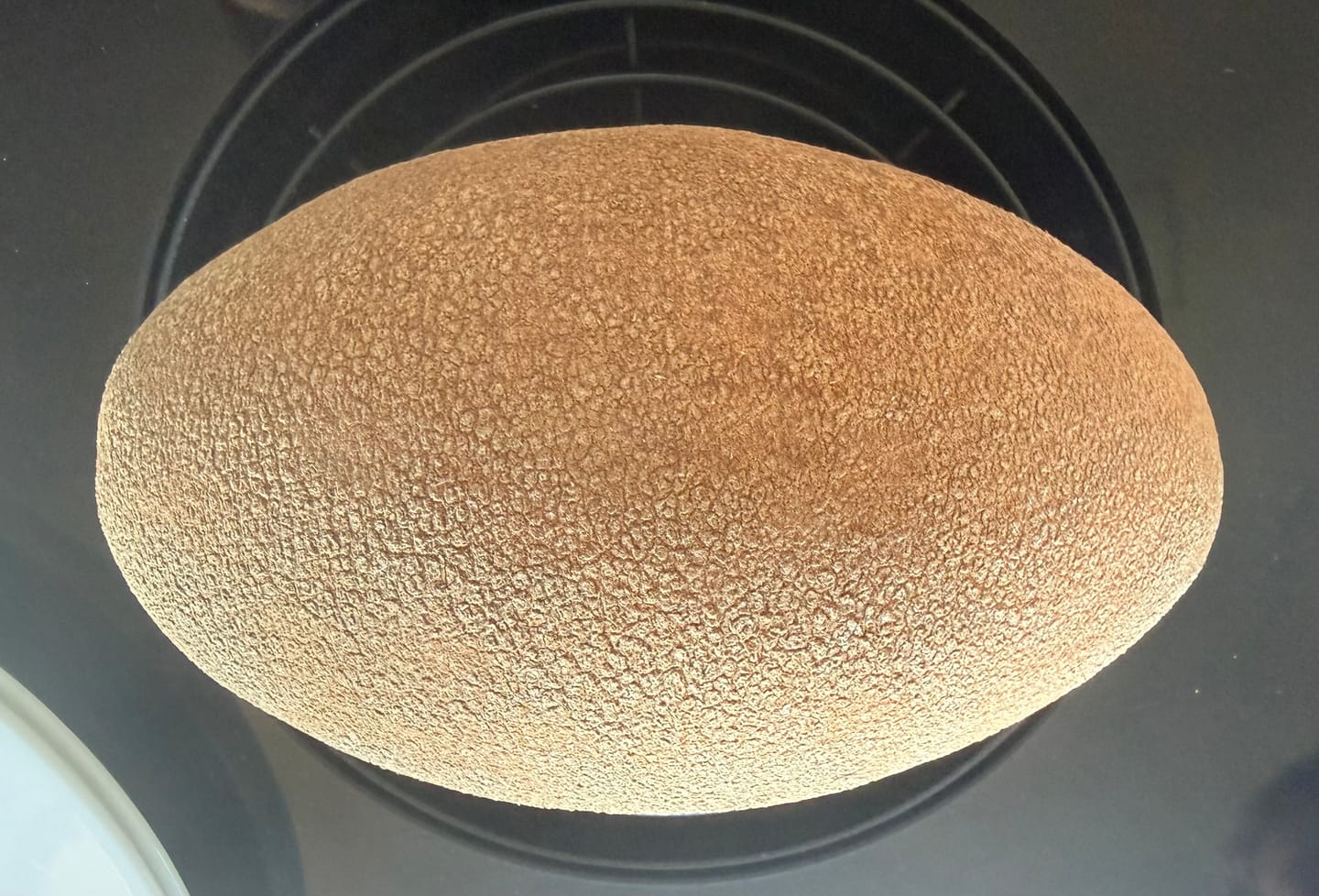 Customer photo review of Sapote Purple (Zapote Morado)