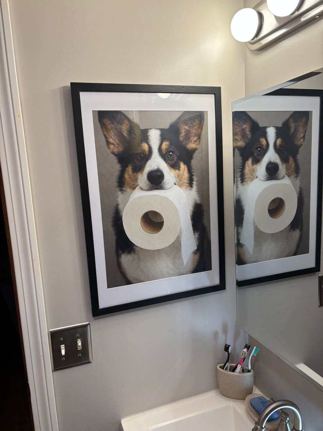 Customer photo review of Corgi Dog On The Phone On The Toilet