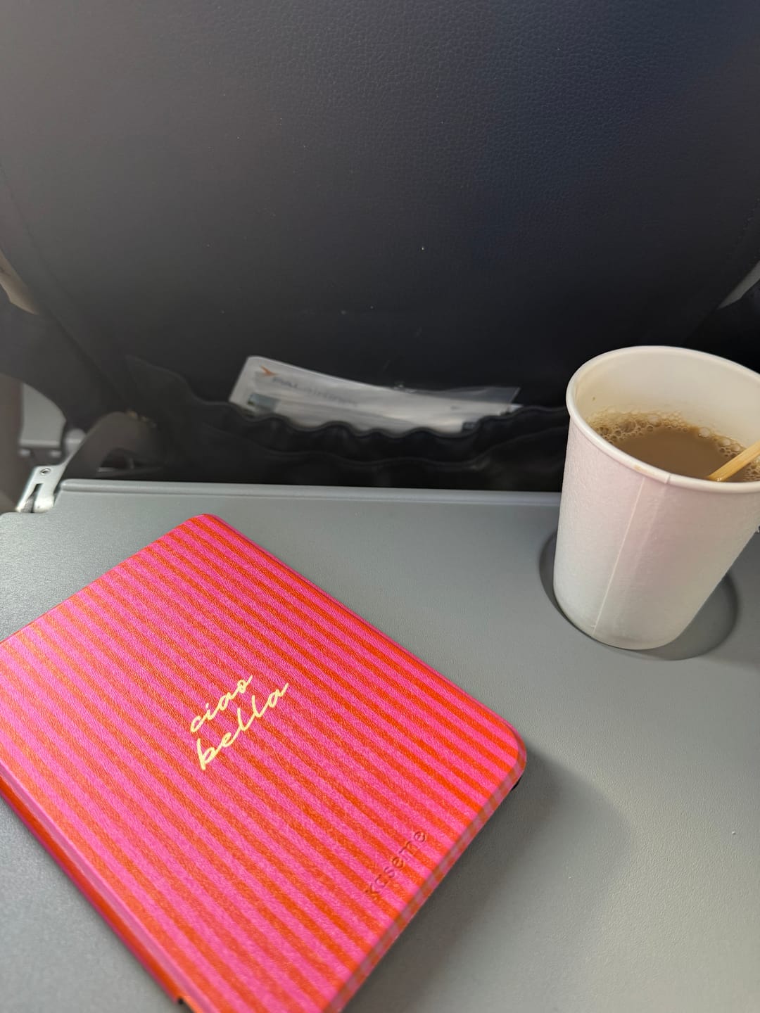 Customer photo review of Ciao Bella E-Reader Case