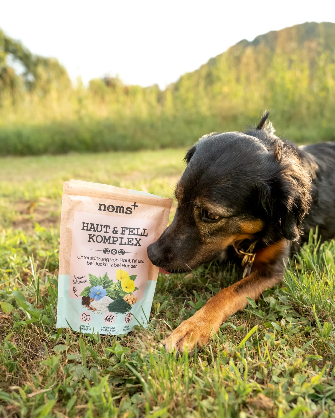 Customer photo review of Haut-Komplex für Hunde