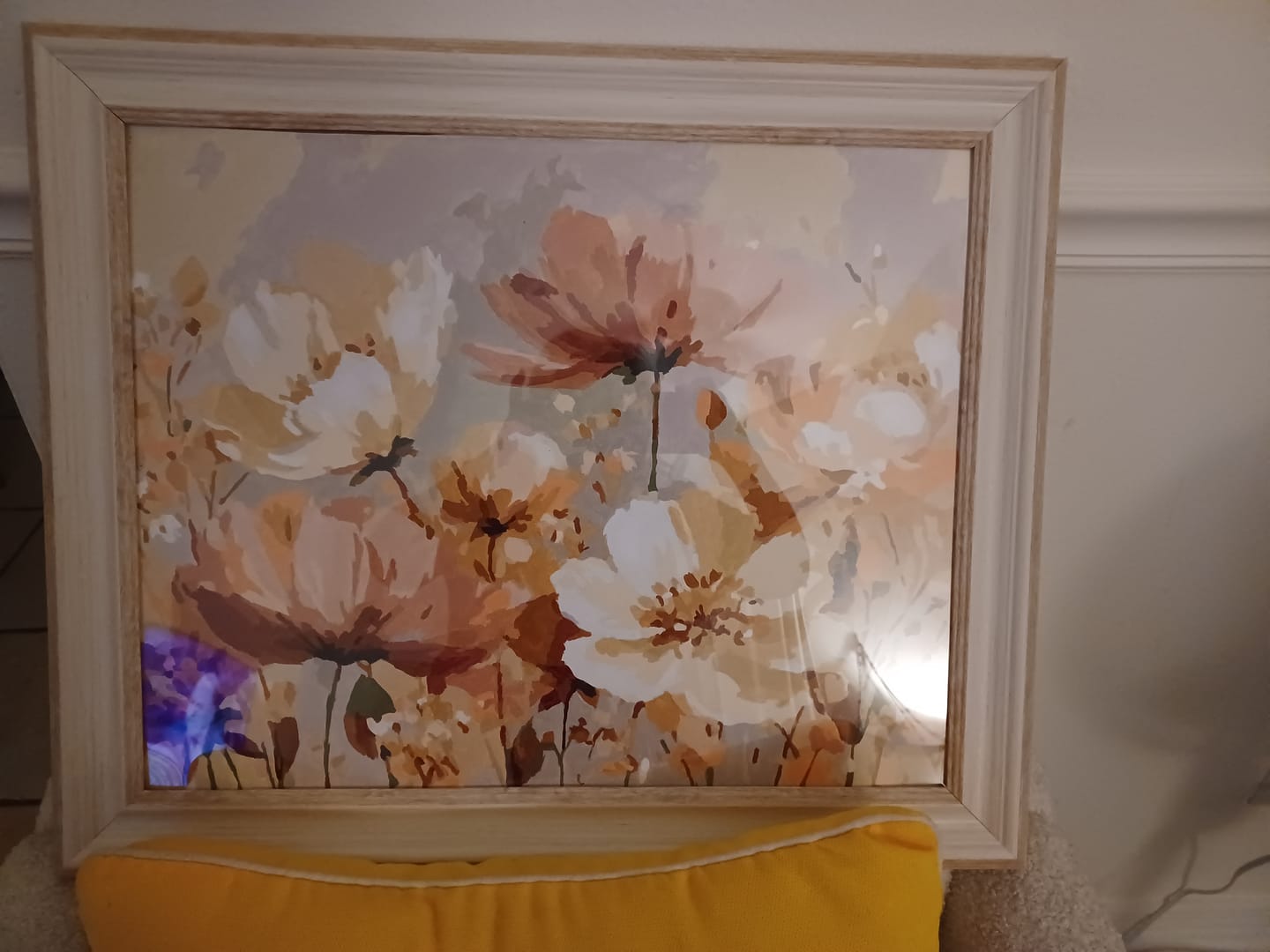 Customer photo review of Fields of Grace | Paint by Number