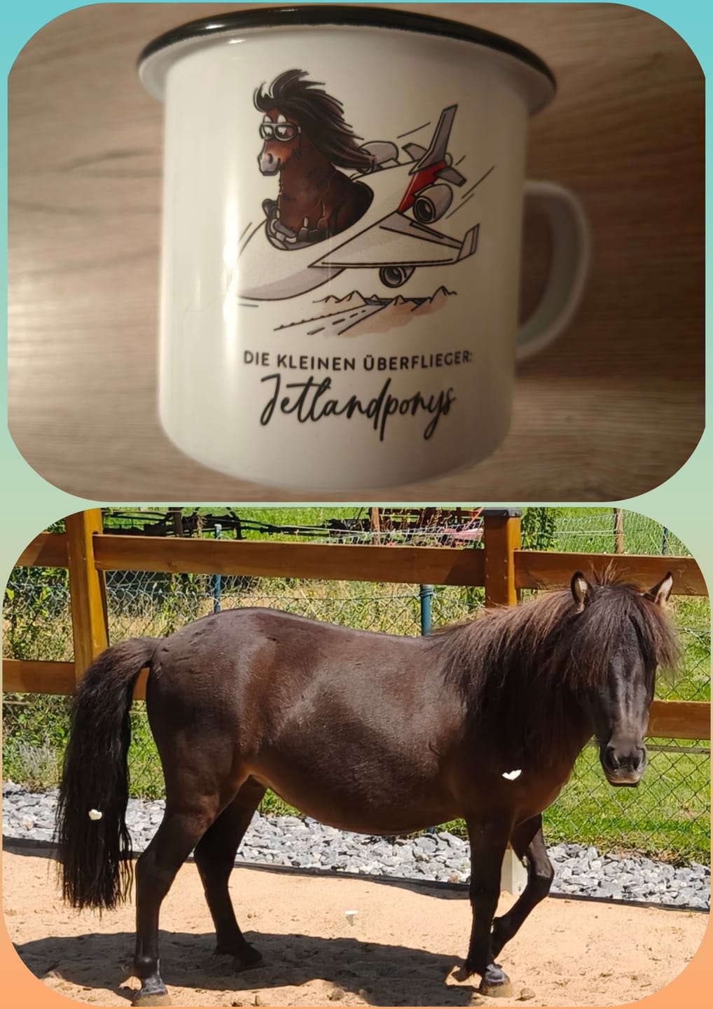 Customer photo review of Emaille-Tasse "Jetlandponys"