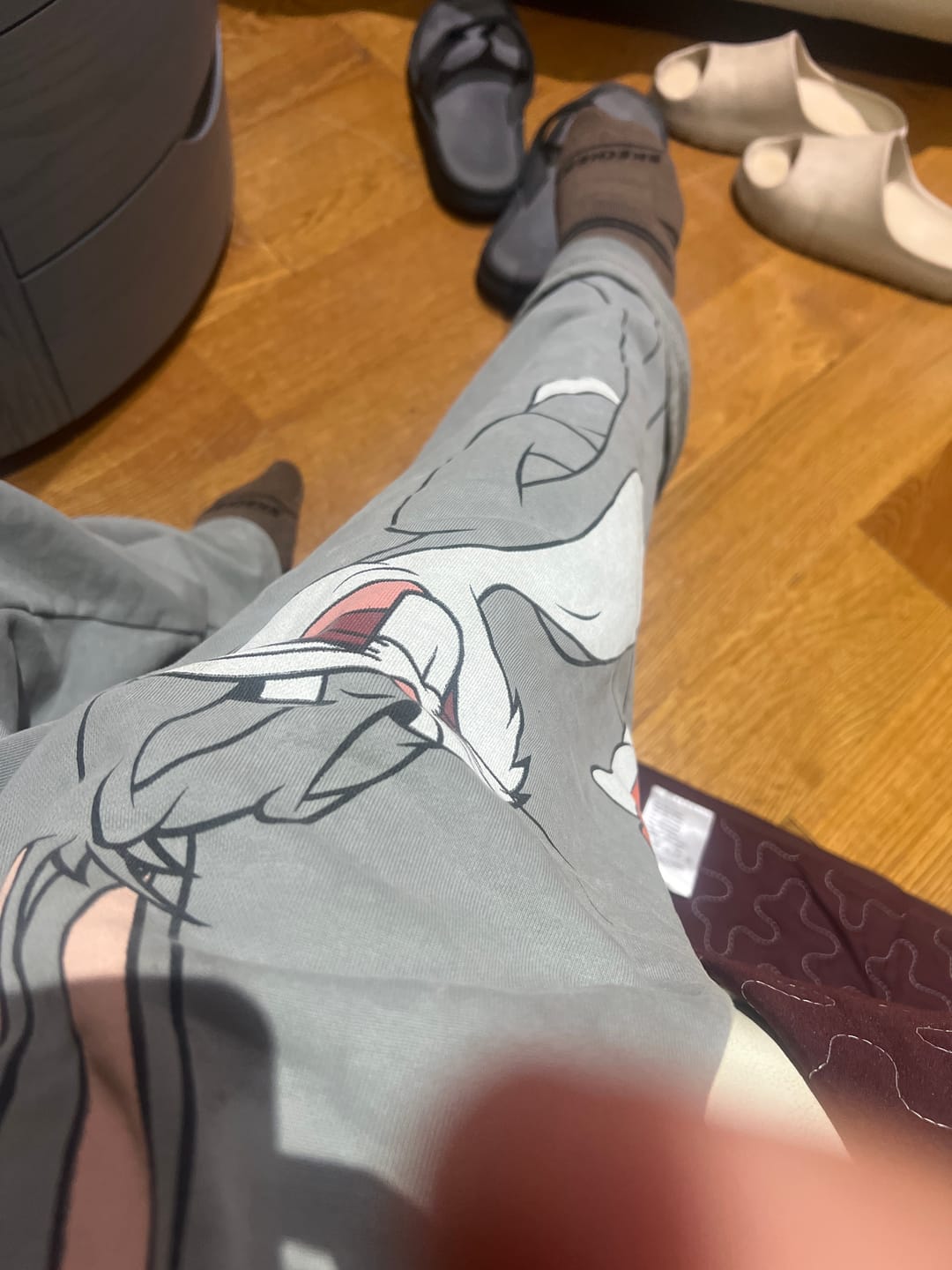 Customer photo review of 2169 - Looney Tunes Character Sweats