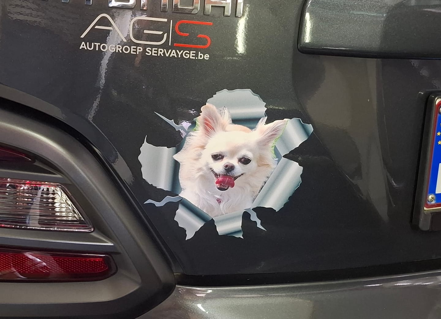 Customer photo review of Spioneren foto - Gepersonaliseerde autosticker