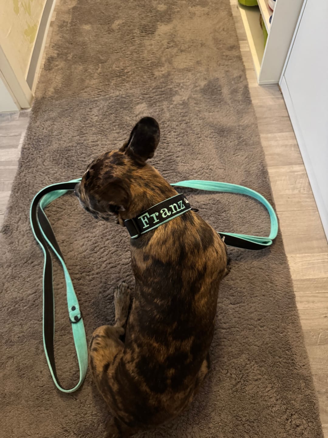 Customer photo review of Extreme Buckle med namn