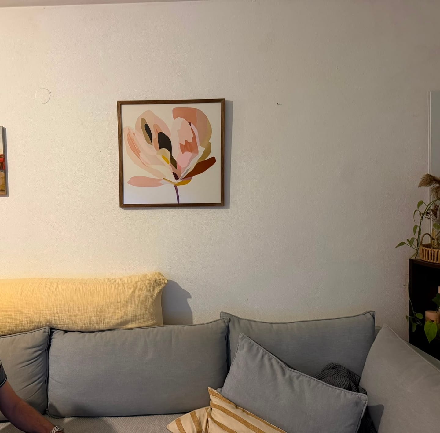 Customer photo review of Elow