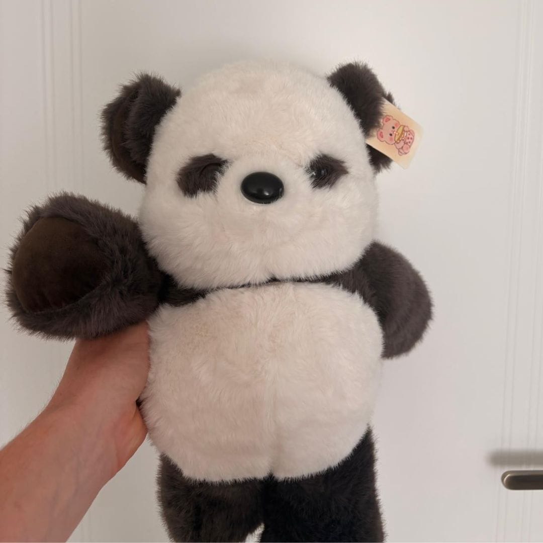 Customer photo review of PandiRun™