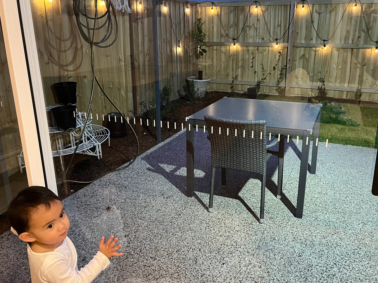 Customer photo review of SolaGarden™ Festoon Lights