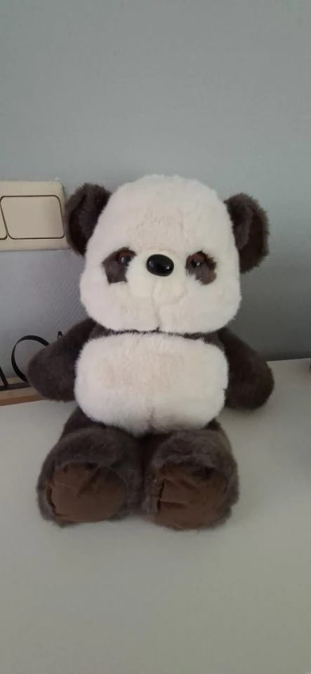Customer photo review of PandiRun™