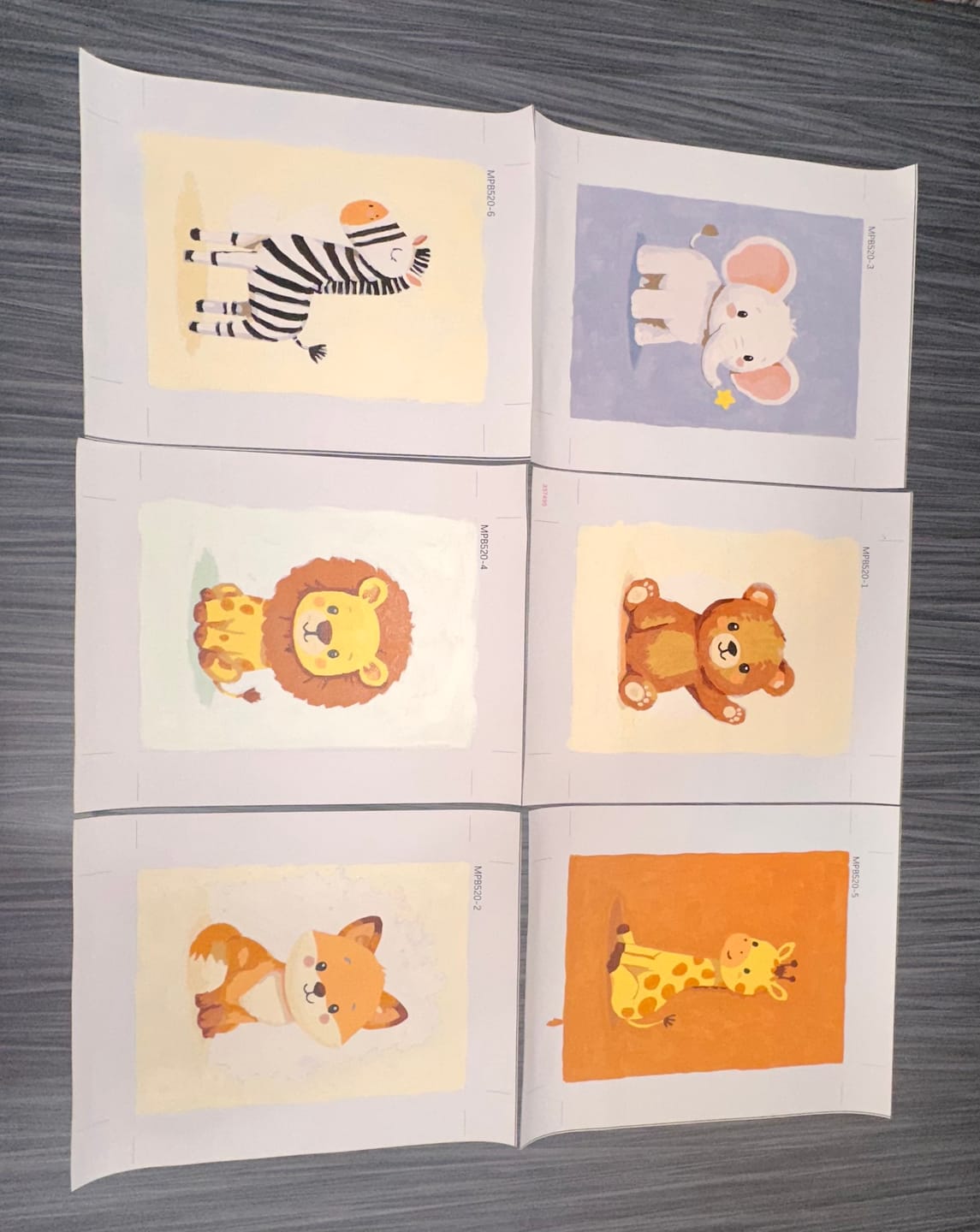 Customer photo review of 6 Mini Paintings - Safari Friends Set