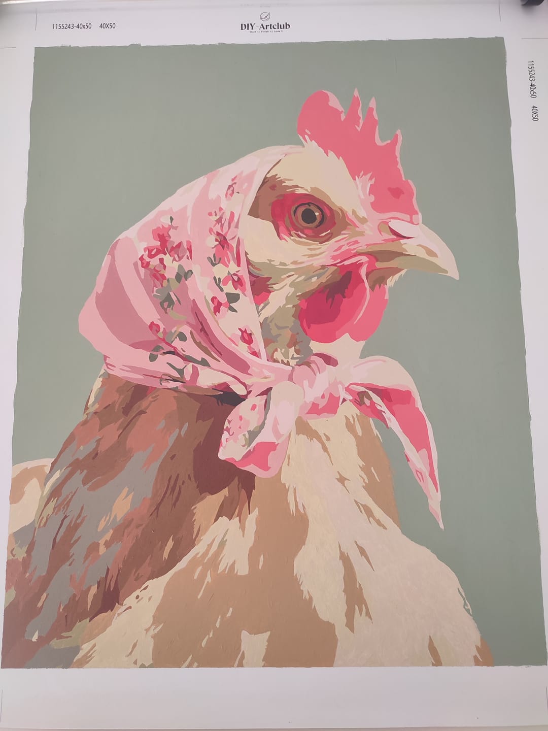 Customer photo review of Coquette Chicken | Paint by Number