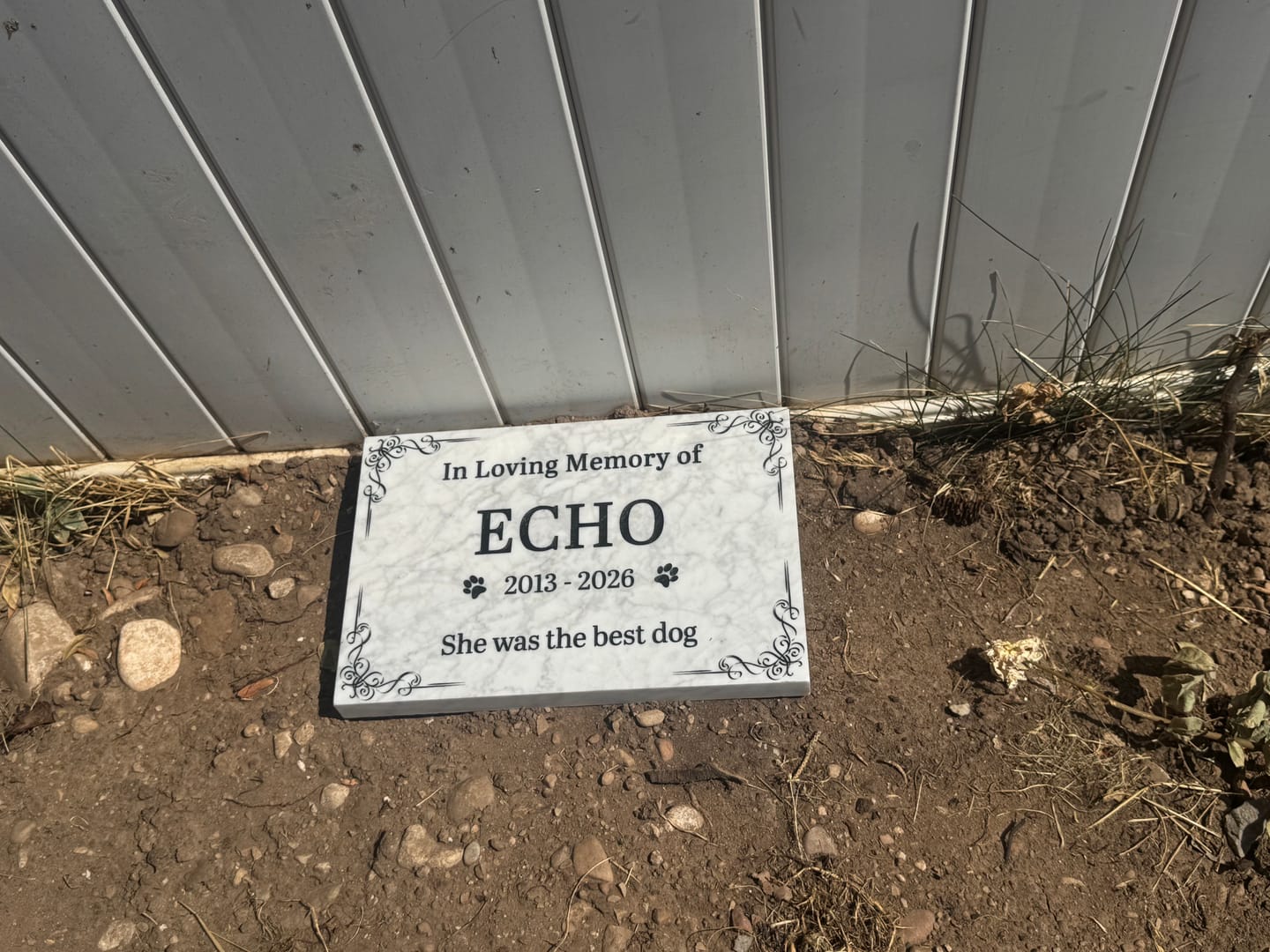 Customer photo review of Pet Grave Plaque Marble Marker, Pet headstones, Custom Outdoor Engraved Pet Stone In Loving Memory